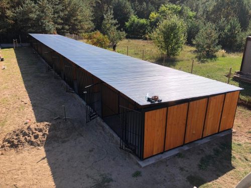 489432728_1123675743111579_4011104334053058033_n