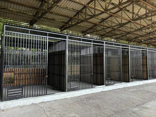 494538069_1222827029853548_1320626306963054237_n